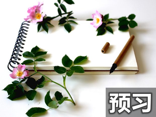 道德與法治預(yù)習方法詳解