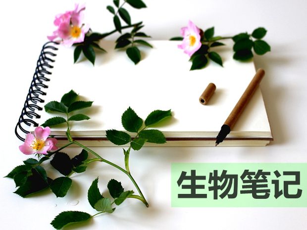 如何整理高中生物復(fù)習(xí)筆記？