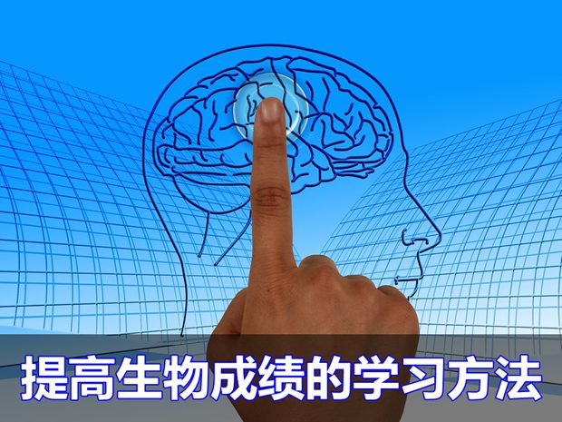 快速提高生物成績(jī)的基本學(xué)習(xí)方法