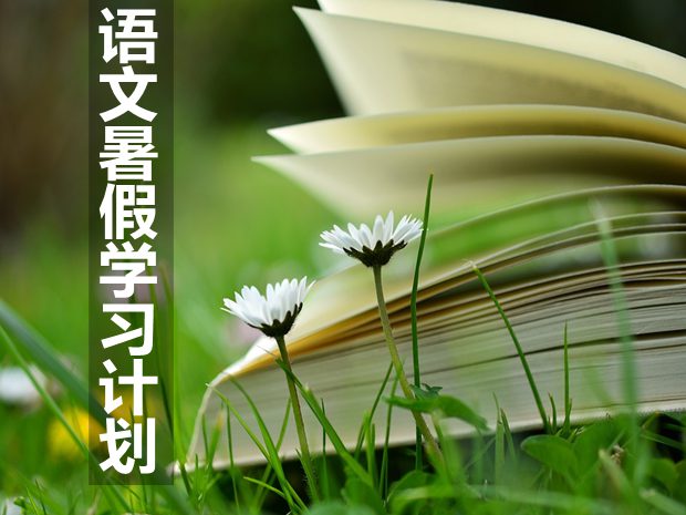 初中語文暑假學(xué)習計劃,暑假語文學(xué)習計劃怎么寫