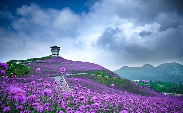 2022年貴州中小學(xué)暑假放假時(shí)間,貴州中小學(xué)暑假時(shí)間安排2022