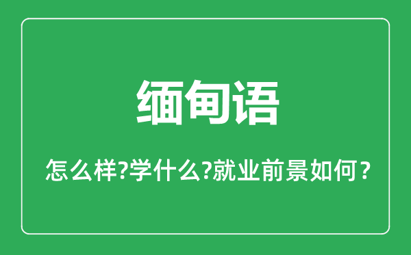 緬甸語專業(yè)怎么樣,緬甸語專業(yè)主要學(xué)什么,就業(yè)前景怎么樣