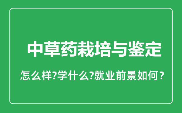 中草藥栽培與鑒定專業(yè)怎么樣,中草藥栽培與鑒定專業(yè)就業(yè)方向及前景分析