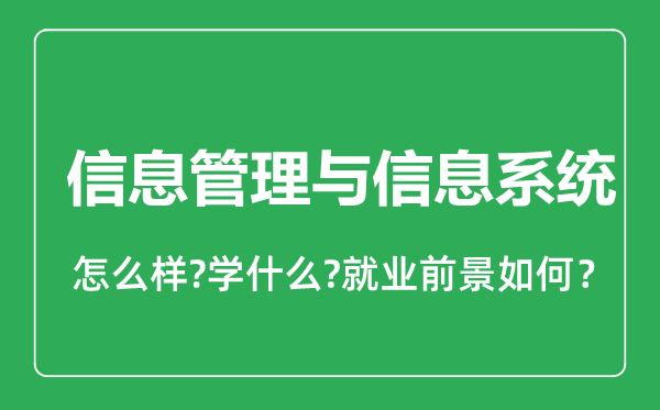 信息管理與信息系統(tǒng)專業(yè)怎么樣,信息管理與信息系統(tǒng)專業(yè)就業(yè)方向及前景分析