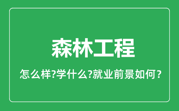 森林工程專業(yè)怎么樣,森林工程專業(yè)就業(yè)方向及前景分析