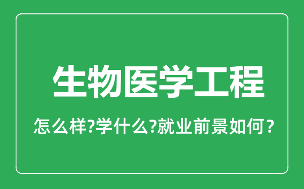 生物醫(yī)學(xué)工程專業(yè)怎么樣,生物醫(yī)學(xué)工程專業(yè)就業(yè)方向及前景分析