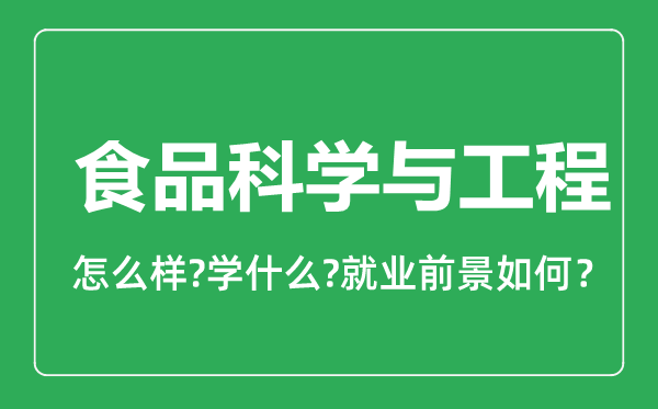 食品科學與工程專業(yè)怎么樣,食品科學與工程專業(yè)就業(yè)方向及前景分析