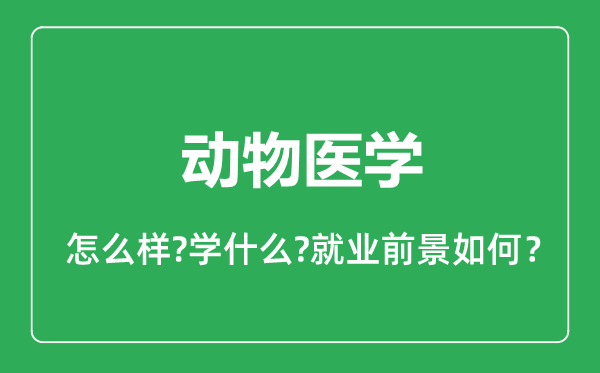 動物醫(yī)學專業(yè)怎么樣,動物醫(yī)學專業(yè)就業(yè)方向及前景分析