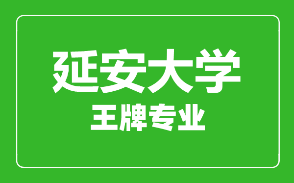 延安大學(xué)王牌專(zhuān)業(yè)有哪些,延安大學(xué)最好的專(zhuān)業(yè)是什么