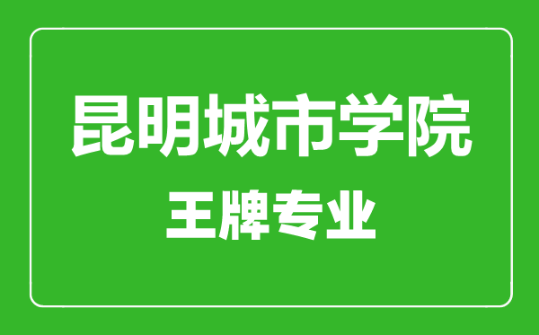 昆明城市學院王牌專業(yè)有哪些,昆明城市學院最好的專業(yè)是什么