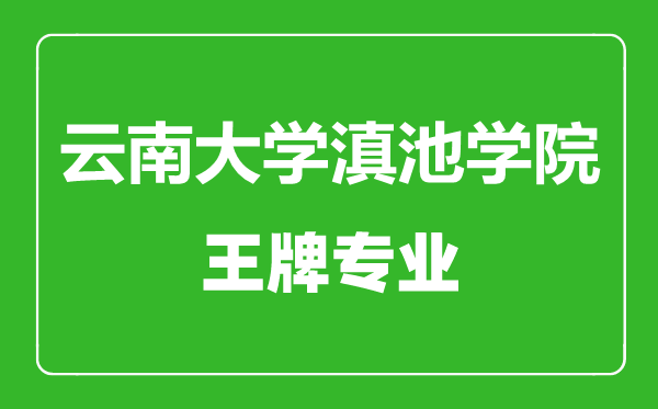 云南大學(xué)滇池學(xué)院王牌專業(yè)有哪些,云南大學(xué)滇池學(xué)院最好的專業(yè)是什么