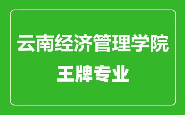 云南經(jīng)濟管理學(xué)院王牌專業(yè)有哪些,云南經(jīng)濟管理學(xué)院最好的專業(yè)是什么