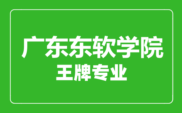 廣東東軟學(xué)院王牌專業(yè)有哪些,廣東東軟學(xué)院最好的專業(yè)是什么