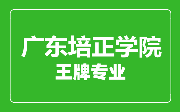 廣東培正學(xué)院王牌專業(yè)有哪些,廣東培正學(xué)院最好的專業(yè)是什么