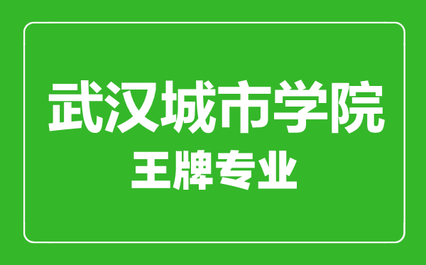 武漢城市學院王牌專業(yè)有哪些,武漢城市學院最好的專業(yè)是什么