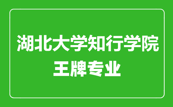 湖北大學(xué)知行學(xué)院王牌專業(yè)有哪些,湖北大學(xué)知行學(xué)院最好的專業(yè)是什么