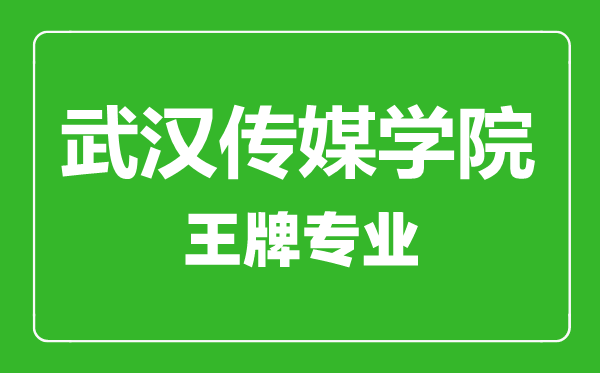 武漢傳媒學(xué)院王牌專(zhuān)業(yè)有哪些,武漢傳媒學(xué)院最好的專(zhuān)業(yè)是什么