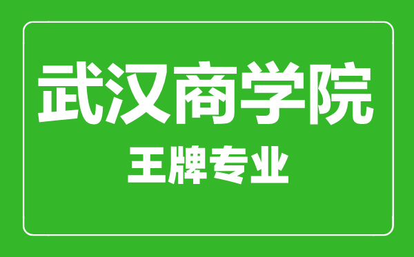 武漢商學(xué)院王牌專業(yè)有哪些,武漢商學(xué)院最好的專業(yè)是什么