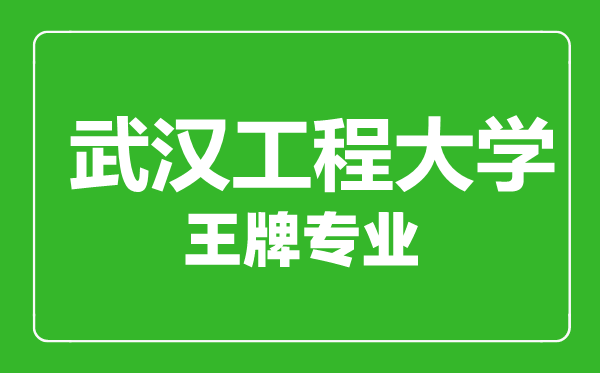 武漢工程大學(xué)王牌專業(yè)有哪些,武漢工程大學(xué)最好的專業(yè)是什么