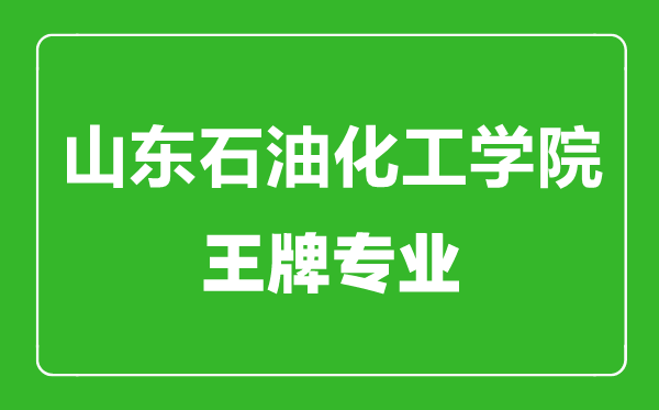 山東石油化工學(xué)院王牌專業(yè)有哪些,山東石油化工學(xué)院最好的專業(yè)是什么