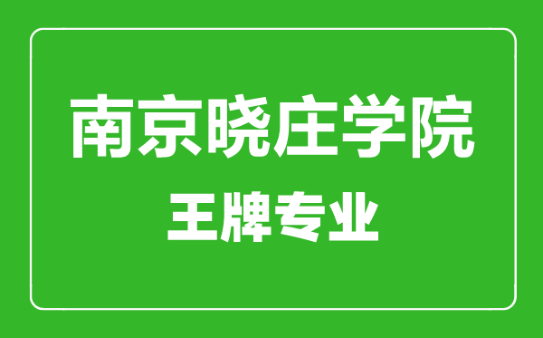南京曉莊學(xué)院王牌專業(yè)有哪些,南京曉莊學(xué)院最好的專業(yè)是什么