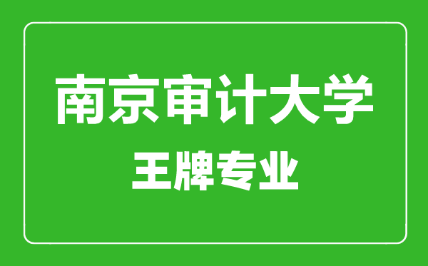 南京審計大學(xué)王牌專業(yè)有哪些,南京審計大學(xué)最好的專業(yè)是什么