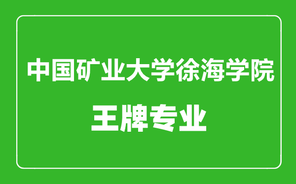中國礦業(yè)大學(xué)徐海學(xué)院王牌專業(yè)有哪些,中國礦業(yè)大學(xué)徐海學(xué)院最好的專業(yè)是什么