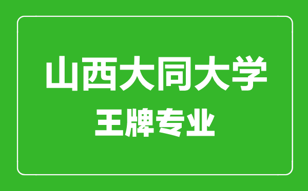 山西大同大學(xué)王牌專業(yè)有哪些,山西大同大學(xué)最好的專業(yè)是什么