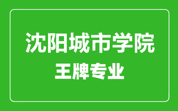沈陽(yáng)城市學(xué)院王牌專業(yè)有哪些,沈陽(yáng)城市學(xué)院最好的專業(yè)是什么
