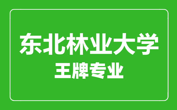 東北林業(yè)大學王牌專業(yè)有哪些,東北林業(yè)大學最好的專業(yè)是什么