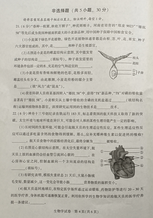 2023年河南中考生物試卷真題及答案
