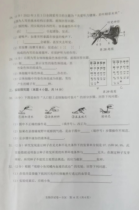 2023年牡丹江市中考生物試卷真題及答案