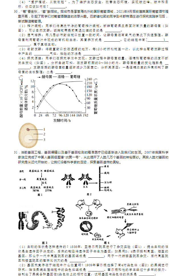 2023年煙臺市中考生物試卷真題及答案
