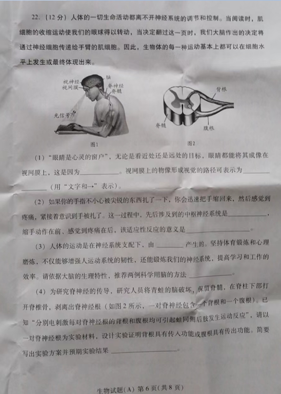 2023年濰坊市中考生物試卷真題及答案