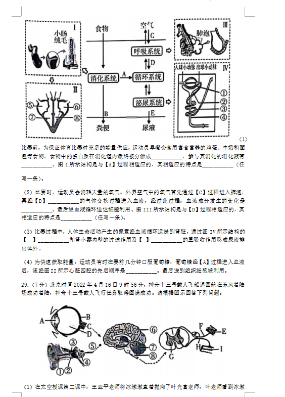 2023年臨沂市中考生物試卷真題及答案