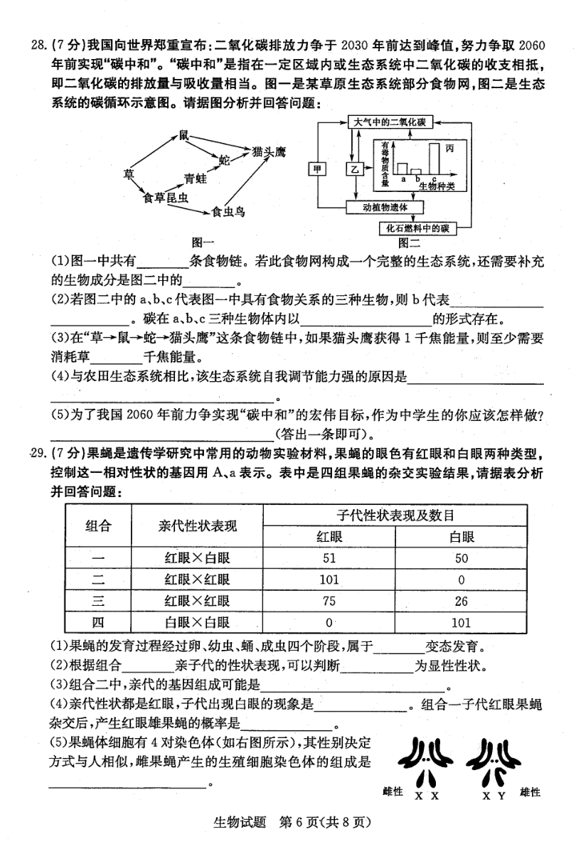 2023年濱州市中考生物試卷真題及答案