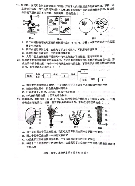 2023年達州市中考生物真題及答案