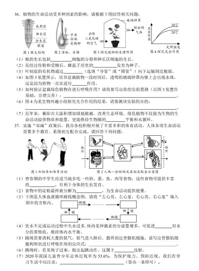 2023年襄陽市中考生物真題及答案