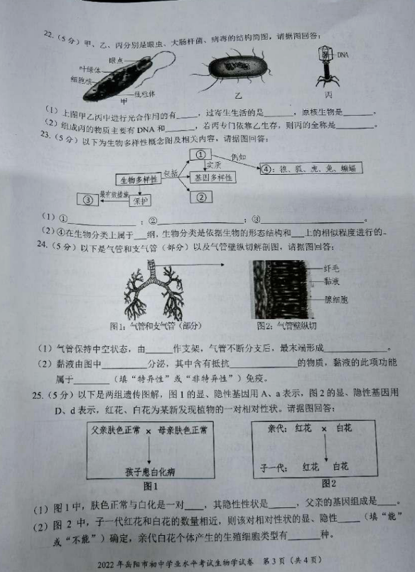 2023年岳陽(yáng)市中考生物試卷真題及答案