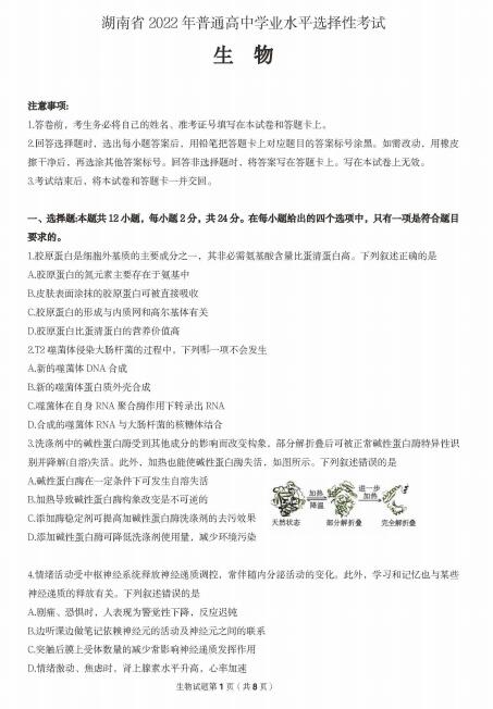 2022年湖南高考生物試卷真題及答案