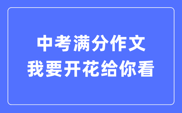 中考滿分作文:我要開花給你看