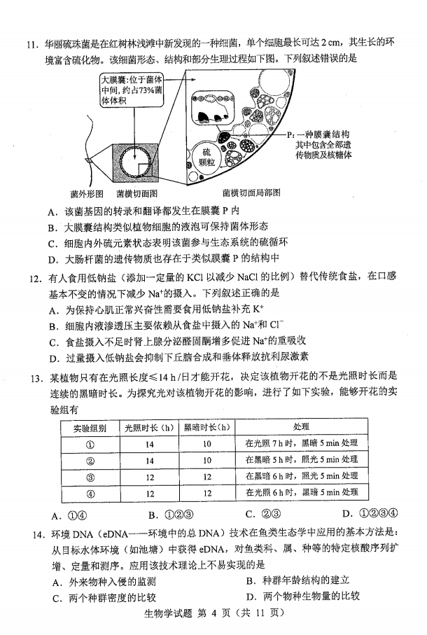 新高考2024七省聯(lián)考生物試卷及答案解析