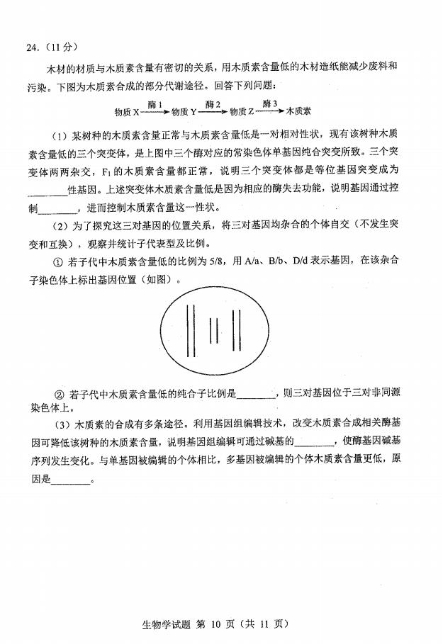 新高考2024七省聯(lián)考生物試卷及答案解析
