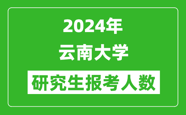 2024年云南大學(xué)研究生報(bào)考人數(shù)
