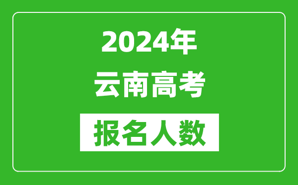 2024年云南高考報(bào)名人數(shù)是多少,比2023年多多少人？