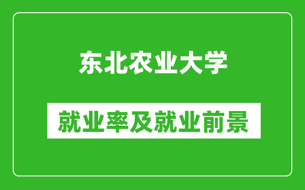 東北農(nóng)業(yè)大學就業(yè)率怎么樣,就業(yè)前景好嗎？