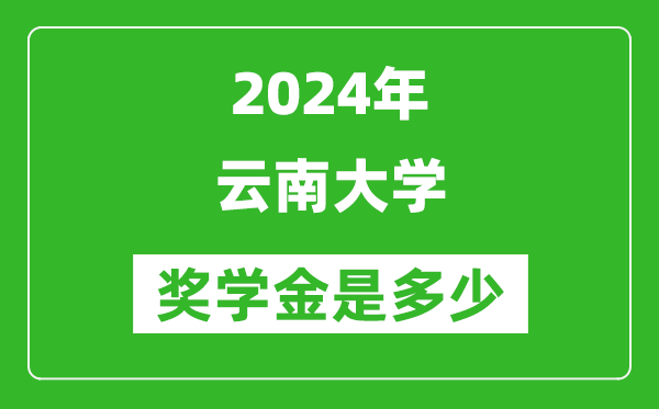 2024年云南大學(xué)獎學(xué)金多少錢,覆蓋率是多少？