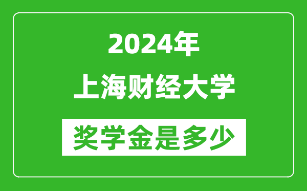2024年上海財(cái)經(jīng)大學(xué)獎(jiǎng)學(xué)金多少錢(qián),覆蓋率是多少？