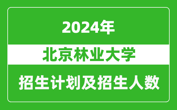 北京林業(yè)大學(xué)2024年在云南的招生計(jì)劃及招生人數(shù)