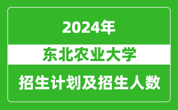 東北農業(yè)大學2024年在山東的招生計劃及招生人數(shù)